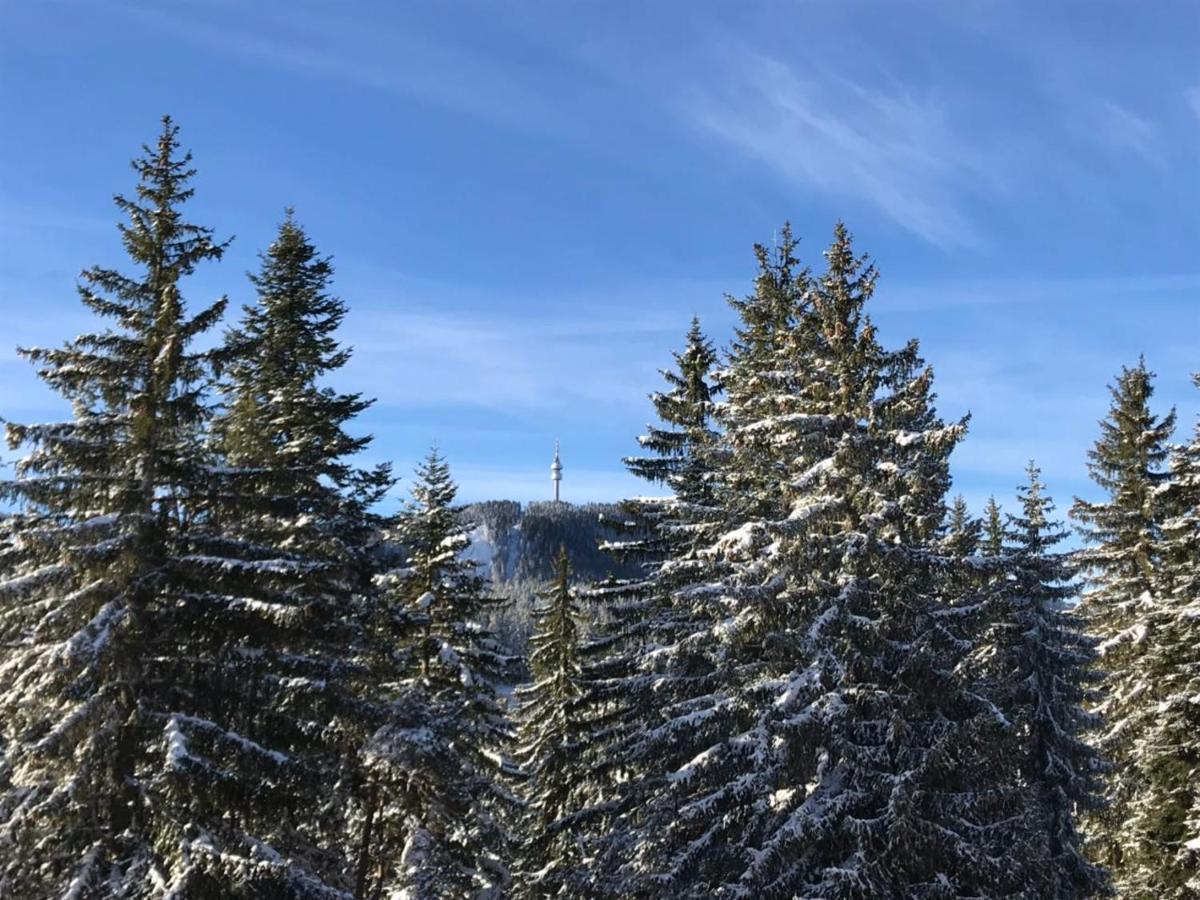 Elina Hotel Pamporovo Kültér fotó