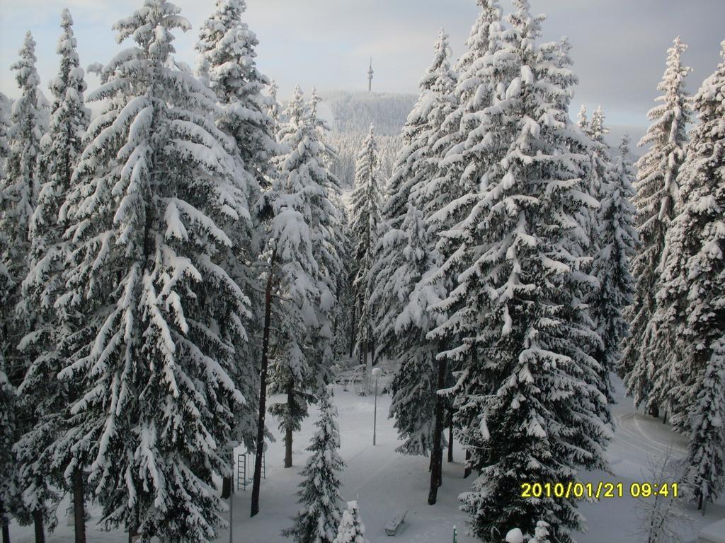 Elina Hotel Pamporovo Kültér fotó